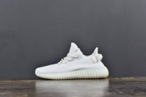 12750676.jpg