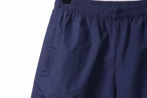 Bape-Nylon-Shorts-Small-Brand-8.webp