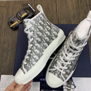DIOR-B23-High-Oblique-2.jpg