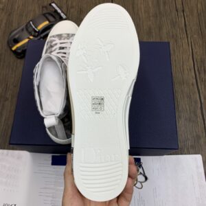 DIOR-B23-High-Oblique-6.jpg