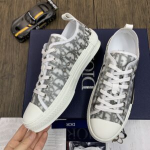 DIOR-B23-Low-Oblique-1.jpg