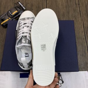 DIOR-B23-Low-Oblique-2.jpg