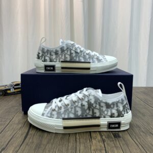 DIOR-B23-Low-Oblique-4.jpg