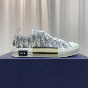 DIOR-B23-Low-Oblique-5.jpg