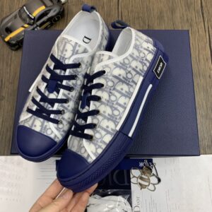 DIOR-B23-Low-Oblique-Blue-1.jpg