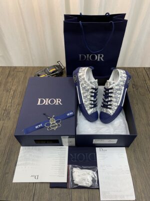 DIOR-B23-Low-Oblique-Blue-2.jpg