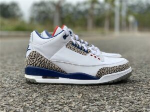 JORDAN2RETROTRUEBLUE_1.jpg