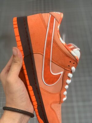 SB-DUNK-LOW-PRO-OG-QS-ConceptsOrange-Lobster-2028.jpeg