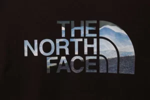 The-North-Face-Wave-Print-T-Shirt-6.webp