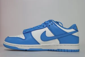 Top-Dunk-Low-Coast-1.webp