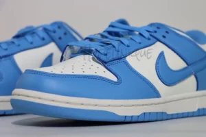 Top-Dunk-Low-Coast-5.webp