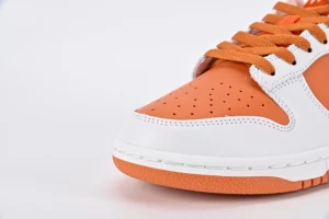 Water-The-Plant-Orange-Dunk-Top-Version-REPS74.webp