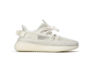 bone250-595x397-1.jpeg