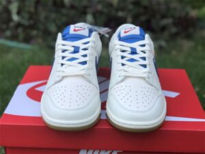 nike-sb-dunk-5.jpg