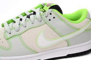 sb-dunks-ducks-2.jpg