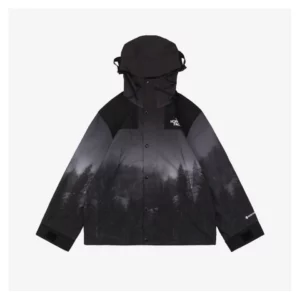 TNF-Misty-Forest-Hooded-Jacket1.jpeg.webp