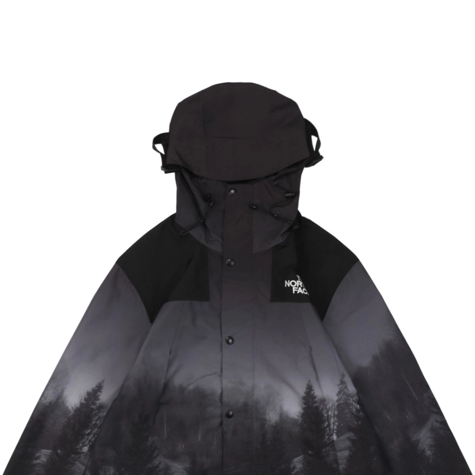 TNF-Misty-Forest-Hooded-Jacket4.jpeg.webp
