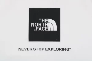 The-North-Face-Logo-Box-Graphic-Crewneck-Sweatshirt12.jpeg.webp