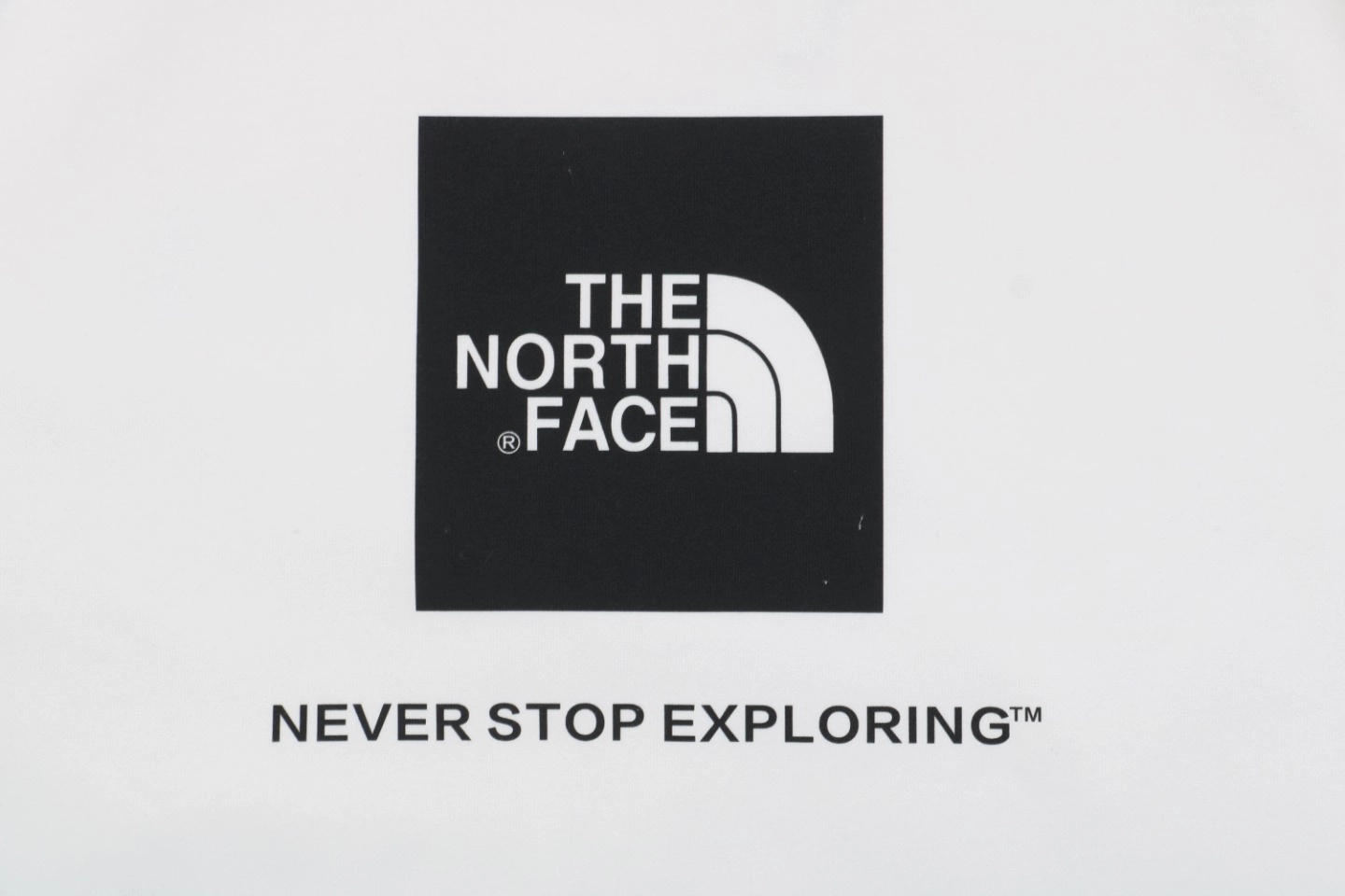 The-North-Face-Logo-Box-Graphic-Crewneck-Sweatshirt12.jpeg.webp