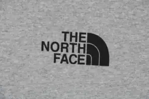 The-North-Face-Logo-Box-Graphic-Crewneck-Sweatshirt18.jpeg.webp
