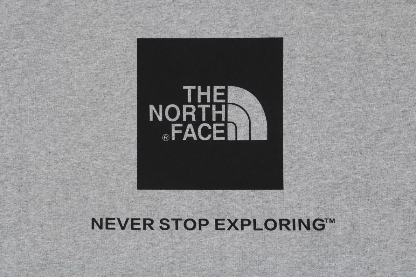The-North-Face-Logo-Box-Graphic-Crewneck-Sweatshirt19.jpeg.webp