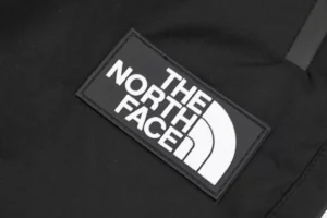 The-North-Face-Small-Logo-Heat-Sealed-Pocket-Down-Pants7.jpg.webp